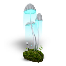 Mushroom Light(M).jpg